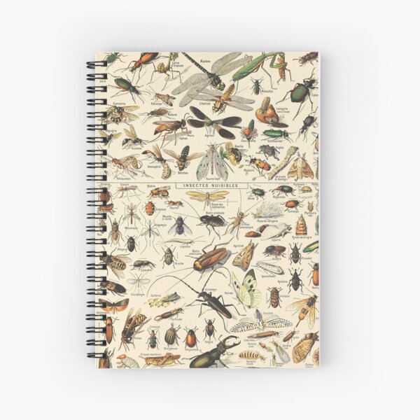 Item preview, Vintage Insect designed and sold by ind3finite.