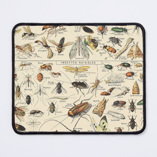 Item preview, Vintage Insect designed and sold by ind3finite.