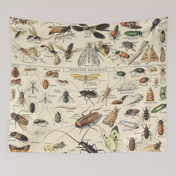 Item preview, Vintage Insect designed and sold by ind3finite.
