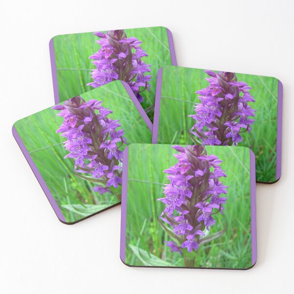 Item preview, Dactylorhiza maculata (Geflecktes Knabenkraut) designed and sold by angel1.