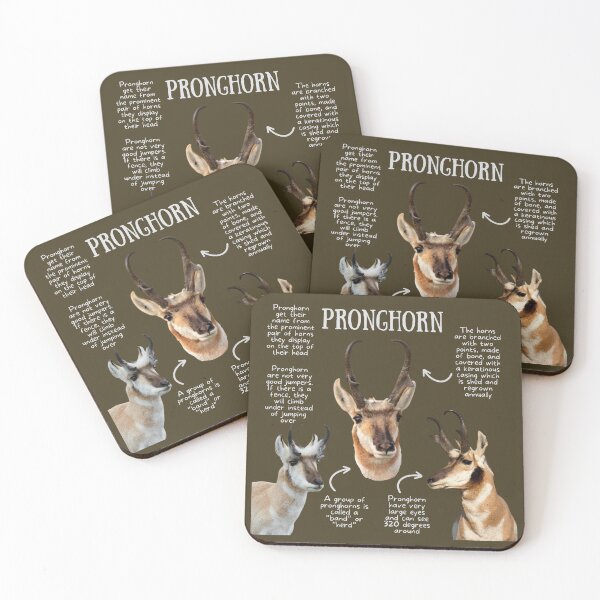 Item preview, Pronghorn Fun Facts designed and sold by KyleNesas.