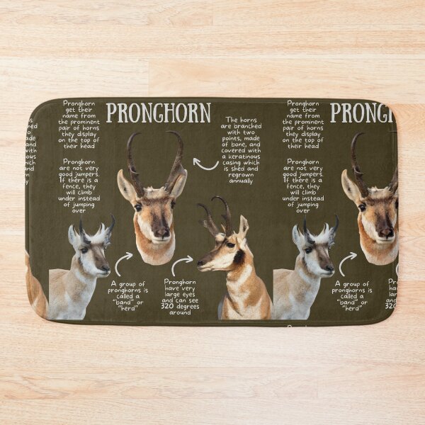 Item preview, Pronghorn Fun Facts designed and sold by KyleNesas.