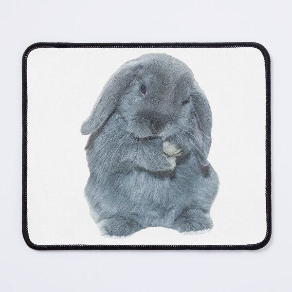 Item preview, A Grey Mini Lop Bunny Rabbit Art designed and sold by CarnageC.