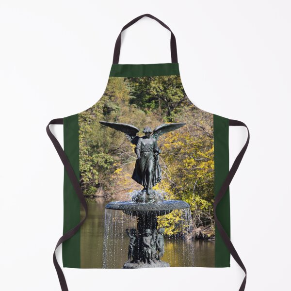 Item preview, Bethesda Fountain, Central Park, NYC designed and sold by ExploreOutdoors.