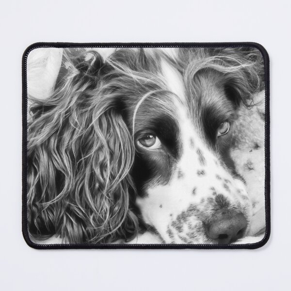 Item preview, Soulful Spaniel Eyes designed and sold by Dorset Girl.