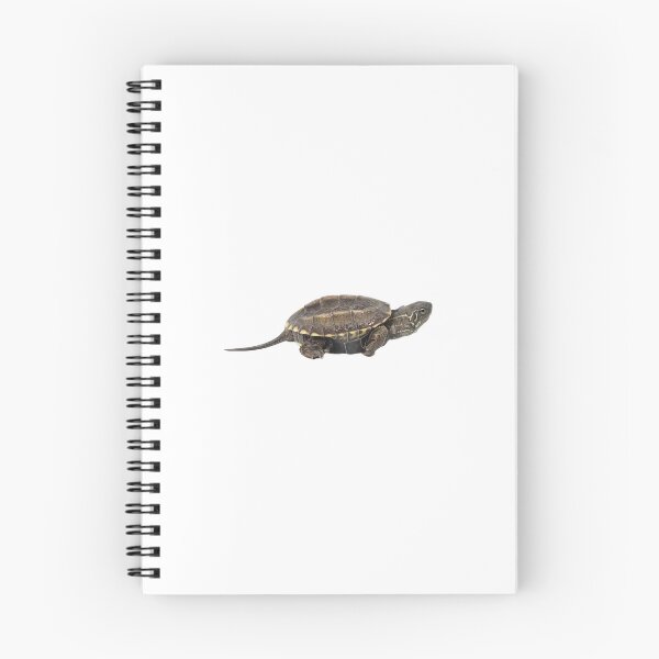 Item preview, Reeves turtle designed and sold by kevinroberts40.
