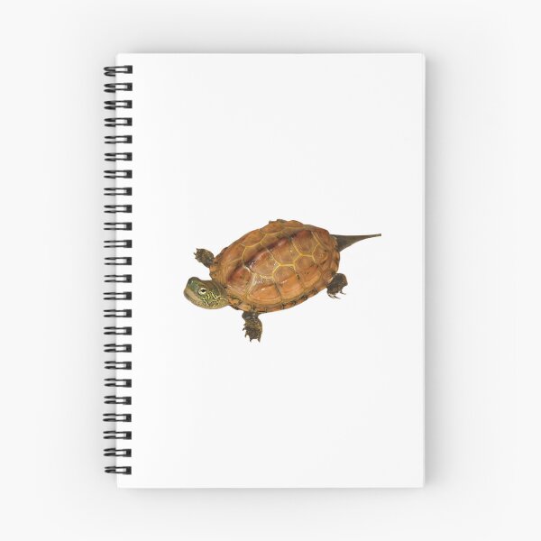 Item preview, reeves turtle designed and sold by kevinroberts40.