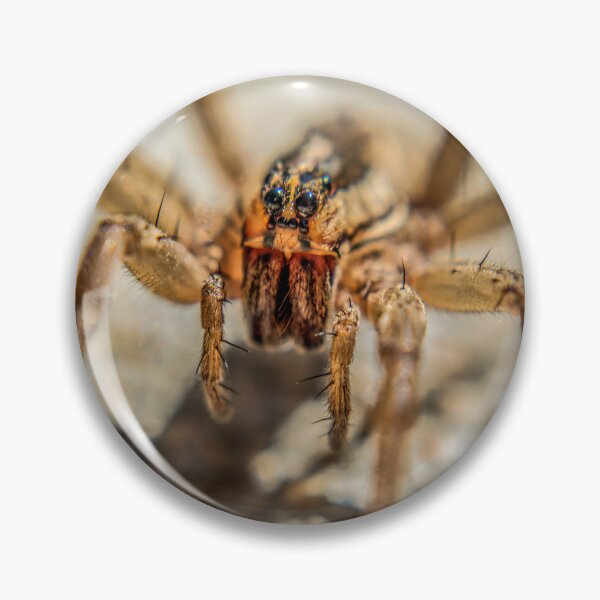 Item preview, Wolf Spider designed and sold by Susan  Nixon.