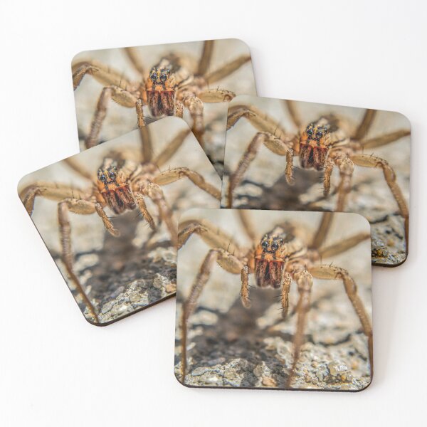 Item preview, Wolf Spider designed and sold by Susan  Nixon.