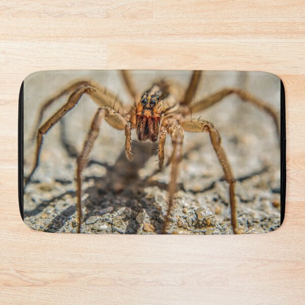 Item preview, Wolf Spider designed and sold by Susan  Nixon.