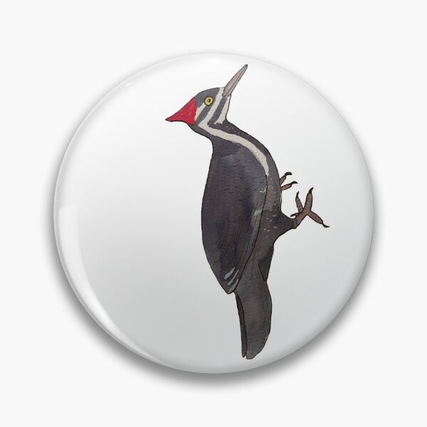 Item preview, Pileated Woodpecker watercolor bird art designed and sold by TheWaterBirds.