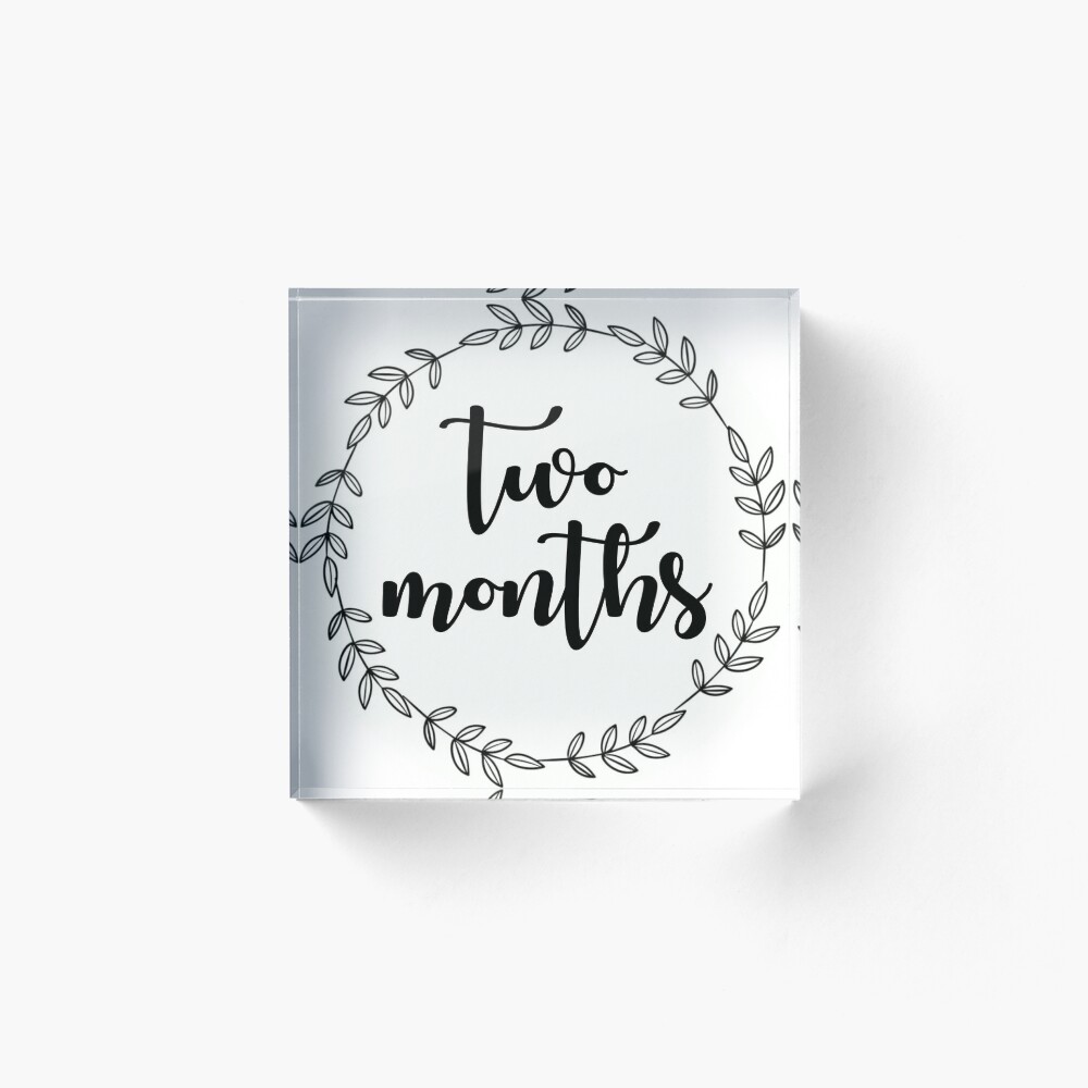 Hand Lettered Baby Monthly Milestones — Brittany Lettering