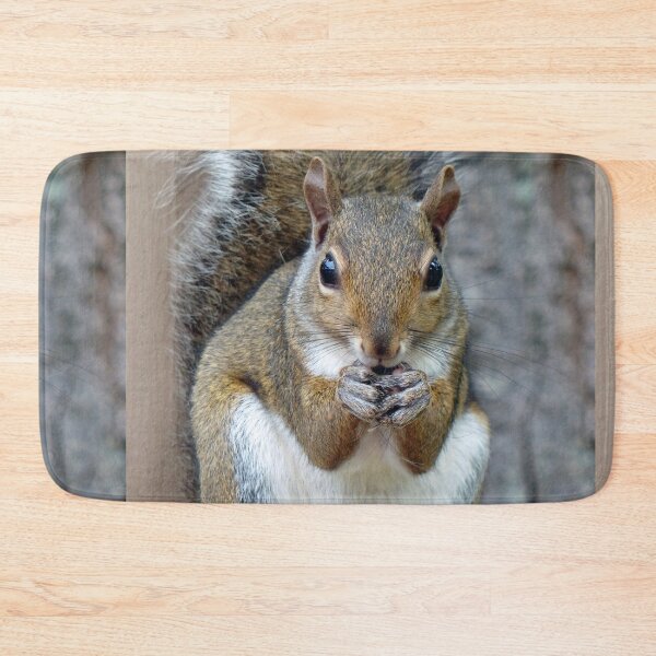 Item preview, A Squirrel Enjoying a Treat designed and sold by Frankie Cat Photography.