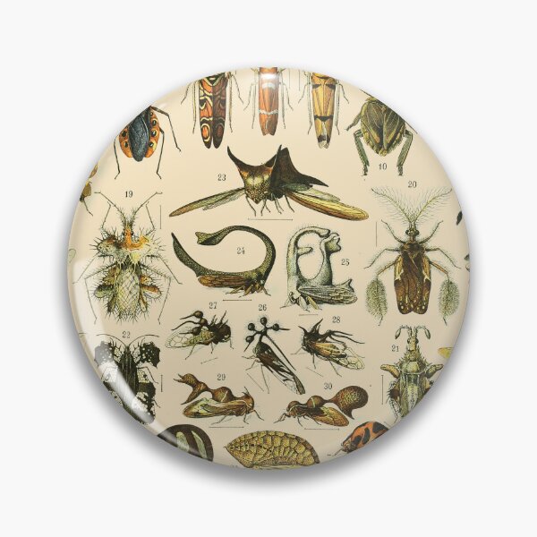 Item preview, Insects Vintage Bug Chart designed and sold by ind3finite.