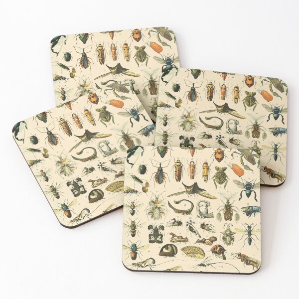 Item preview, Insects Vintage Bug Chart designed and sold by ind3finite.
