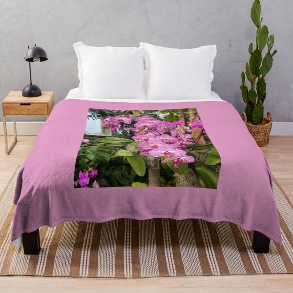 Item preview, Pink White Orchid, Wide View, New York Botanical Gardens, NYC designed and sold by ExploreOutdoors.