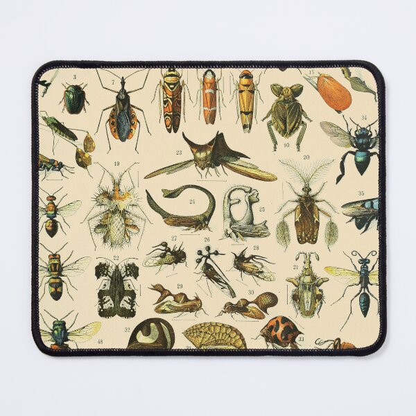 Item preview, Insects Vintage Bug Chart designed and sold by ind3finite.