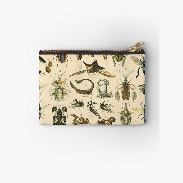Item preview, Insects Vintage Bug Chart designed and sold by ind3finite.