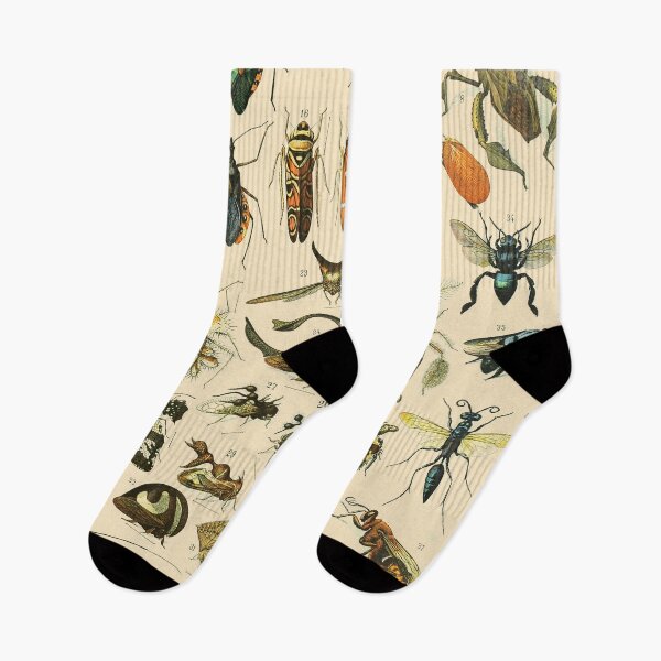 Item preview, Insects Vintage Bug Chart designed and sold by ind3finite.