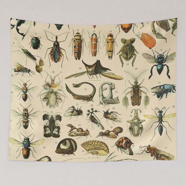 Item preview, Insects Vintage Bug Chart designed and sold by ind3finite.