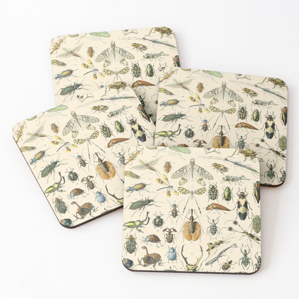 Item preview, Insects Vintage Bug Chart designed and sold by ind3finite.