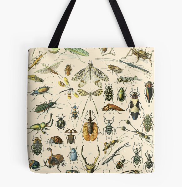 Buy Exotic Bugs Canvas Tote Bag, Canvas Bag, Insects, Shoulder Bag,  Shopper, Bug Print, Gift for Her, Shopper Bag, Insects, Bug Illustration  Online in India - Etsy