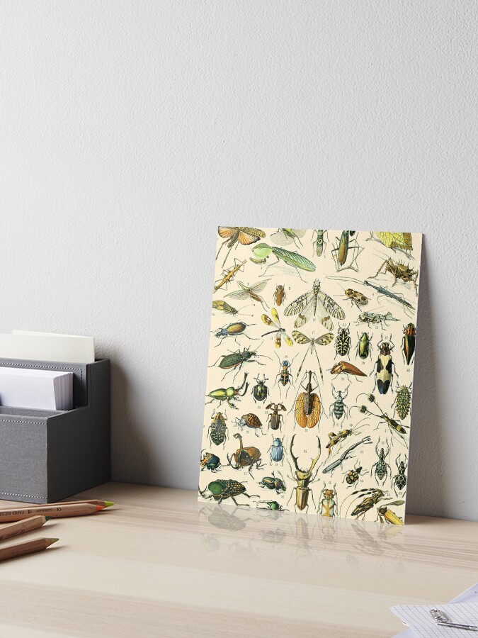 Americanflat Botanical 5x7 Gallery Wrapped Canvas - Tiny House