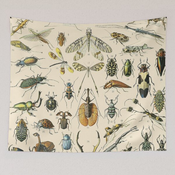 Item preview, Insects Vintage Bug Chart designed and sold by ind3finite.