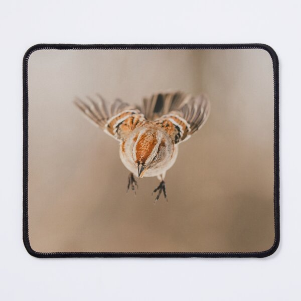 Item preview, Tree Sparrow in Flight designed and sold by dev11588.