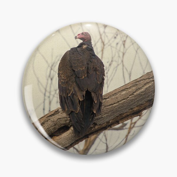 Item preview, Turkey Vulture designed and sold by CarolM.