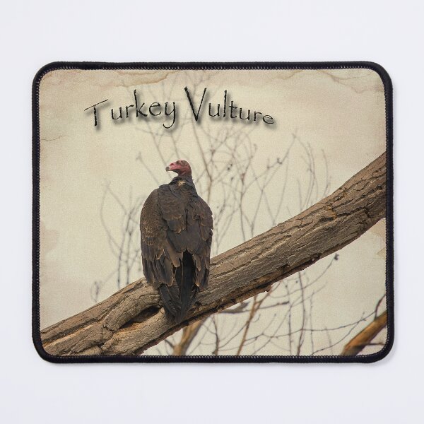 Item preview, Turkey Vulture designed and sold by CarolM.