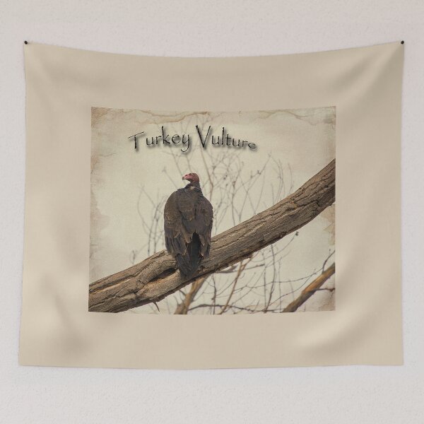 Item preview, Turkey Vulture designed and sold by CarolM.