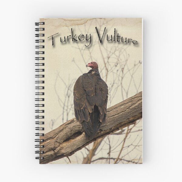 Item preview, Turkey Vulture designed and sold by CarolM.