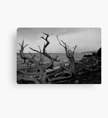 Flotsam and jetsam Canvas Print