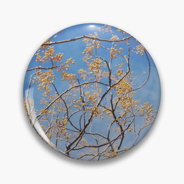 Item preview, Chinaberry Tree Fruits in Winter designed and sold by CarolinaReina.