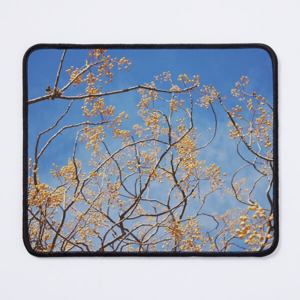 Item preview, Chinaberry Tree Fruits in Winter designed and sold by CarolinaReina.