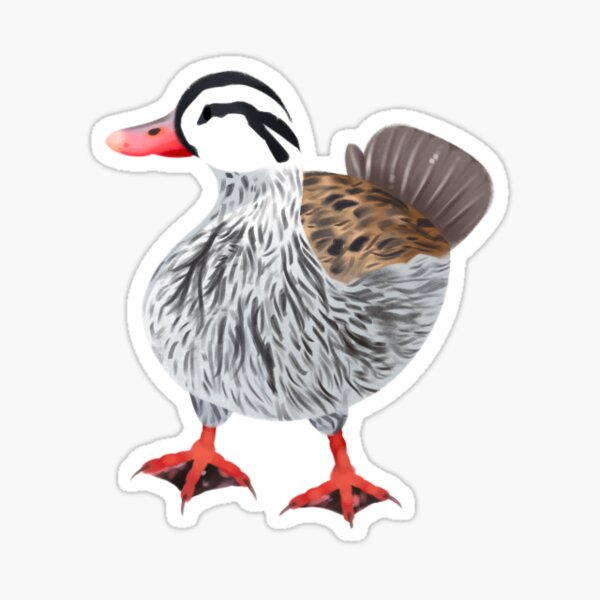 torrent duck Sticker