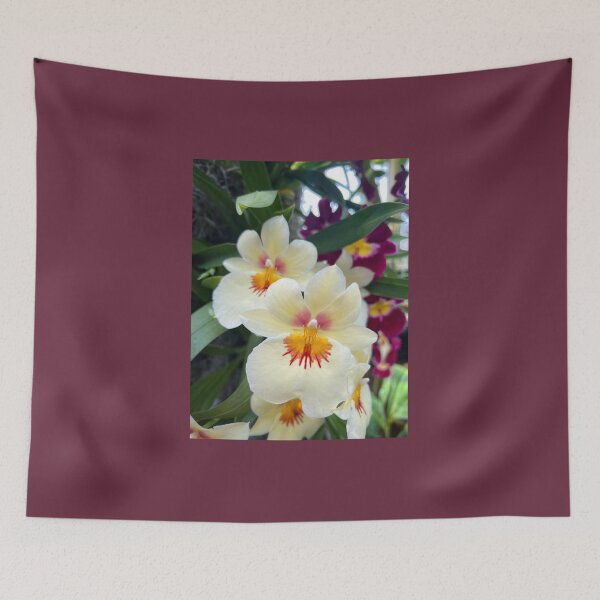 Item preview, Cream White Orchid, New York Botanical Gardens, NYC designed and sold by ExploreOutdoors.