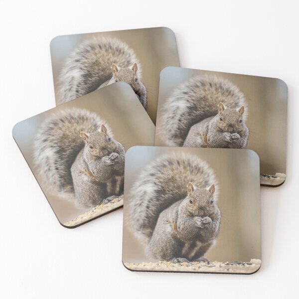 Item preview, Cute Squirrel Photograph designed and sold by dev11588.