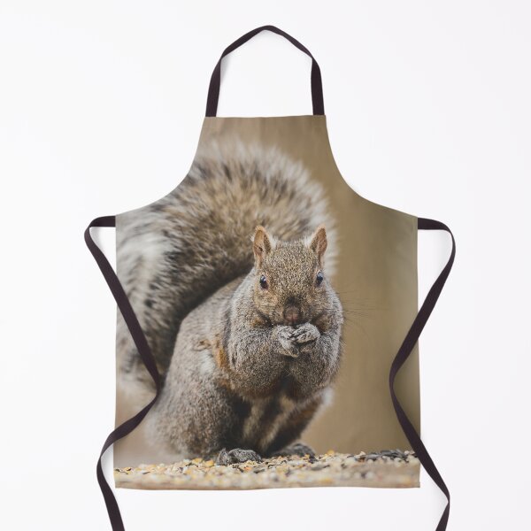 Item preview, Cute Squirrel Photograph designed and sold by dev11588.