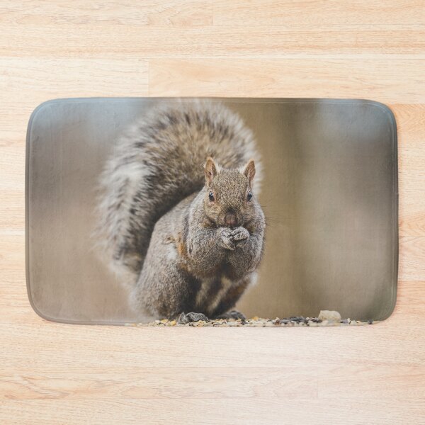 Item preview, Cute Squirrel Photograph designed and sold by dev11588.