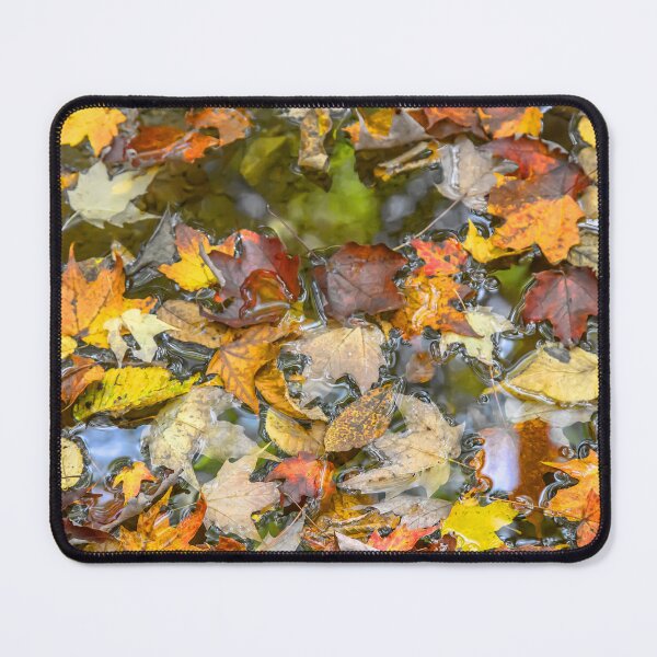 Item preview, USA. Virginia. Shenandoah National Park. Autumn Leaves. designed and sold by vadim19.