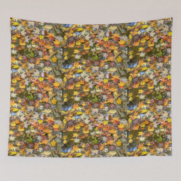 Item preview, USA. Virginia. Shenandoah National Park. Autumn Leaves. designed and sold by vadim19.