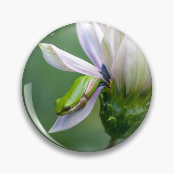 Item preview, Dwarf Tree Frog and Flower designed and sold by Andrew Goodall.