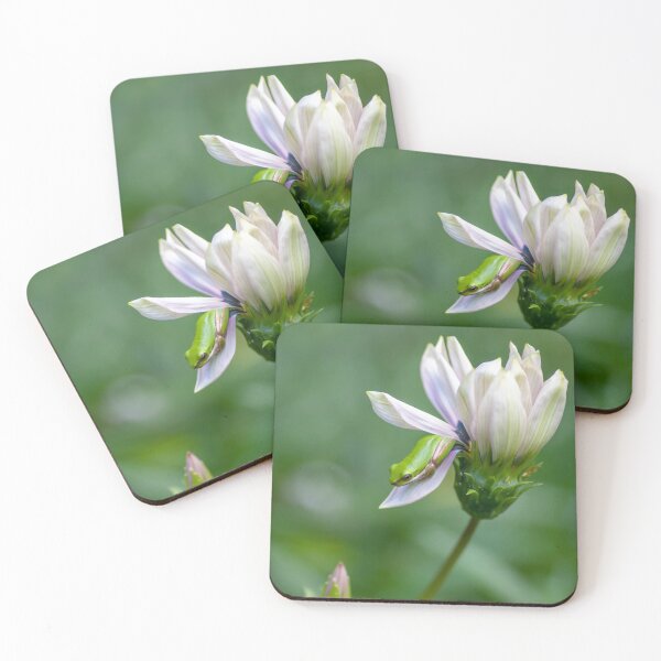 Item preview, Dwarf Tree Frog and Flower designed and sold by Andrew Goodall.
