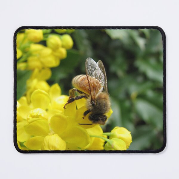 Item preview, Honey Bee on Yellow Flowers designed and sold by JenJoiner.
