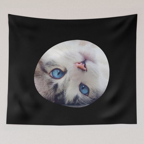 Item preview, bubble cat designed and sold by marwan elsaeed.