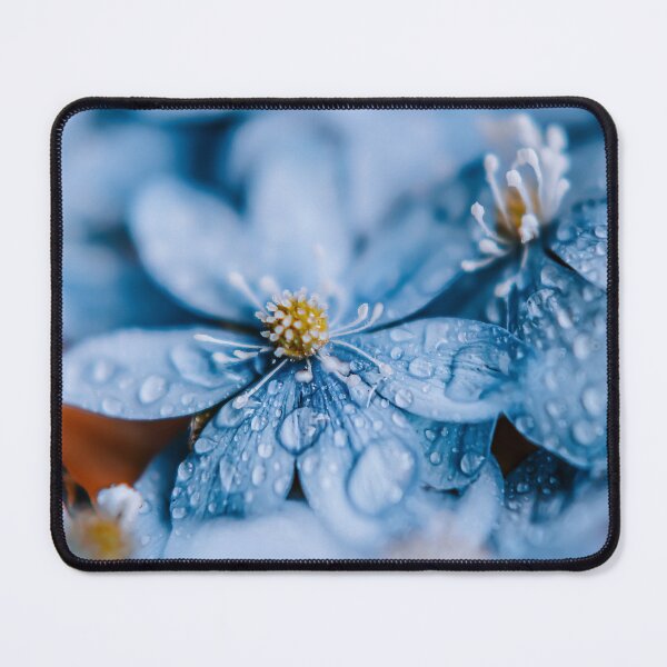 Item preview, Hepatica Nobilis designed and sold by EmelinaPhoto.
