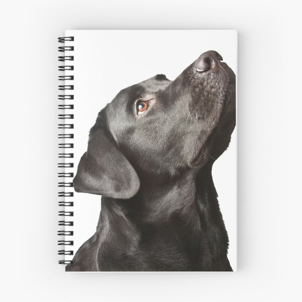 Item preview, WE BUILD LABRADOR designed and sold by ariszz.