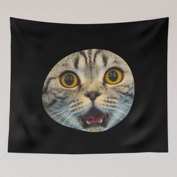 Item preview, bubble cute cat designed and sold by marwan elsaeed.